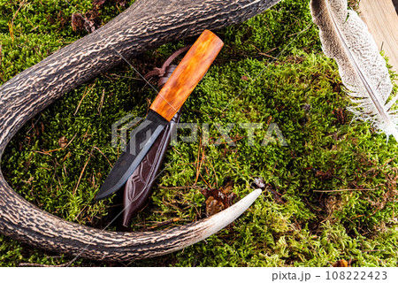 Knife with a wooden handle. Knife and leather sheath. Knife on moss and deer antler. Flat lay. Knife with a wooden handle. Knife and leather sheath. Knife on moss and deer antler. Flat lay. 108222423
