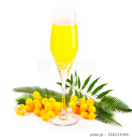 Mimosa cocktail with bubbly champagne and orange juice on white background 108224360