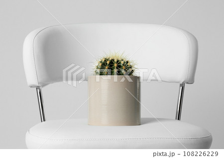 Chair with cactus isolated on white. Hemorrhoids concept 108226229