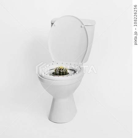 Toilet bowl with pins and cactus on white background. Hemorrhoids concept 108226256