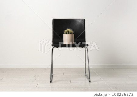 Chair with cactus near white wall. Hemorrhoids concept Chair with cactus near white wall. Hemorrhoids concept 108226272