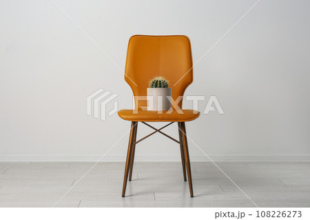 Chair with cactus near white wall. Hemorrhoids concept Chair with cactus near white wall. Hemorrhoids concept 108226273