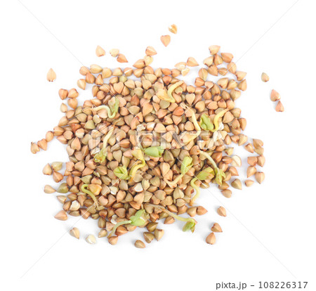Heap of sprouted green buckwheat isolated on white, top view Heap of sprouted green buckwheat isolated on white, top view 108226317
