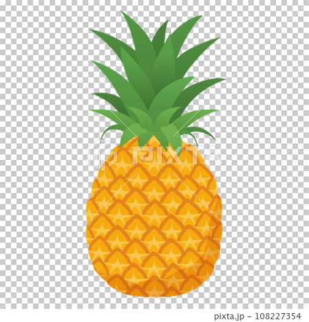 パイナップルのイラスト 108227354