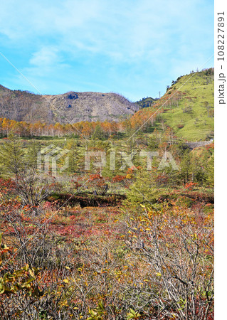 紅葉の季節　秋　志賀草津高原ルートからの風景　　　　　 108227891