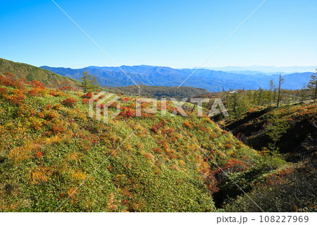 紅葉の季節　秋　志賀草津高原ルートからの風景　　　　　 108227969