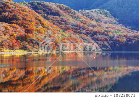 秋の赤城大沼 108228073