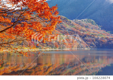 秋の赤城大沼 秋の赤城大沼 108228074