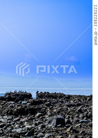 有明海を背景に溶岩塔・岩石に留まる野鳥風景　「両子岩（ふたごいわ）」観光スポット　長崎県南島原市 108228221