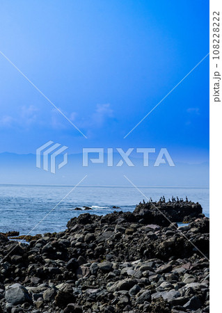 有明海を背景に溶岩塔・岩石に留まる野鳥風景　「両子岩（ふたごいわ）」観光スポット　長崎県南島原市 108228222
