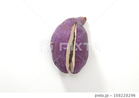 アケビ アケビ 108228296