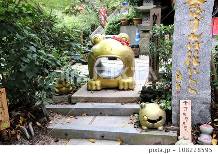 福岡県小郡市の如意輪寺境内風景 福岡県小郡市の如意輪寺境内風景 108228595
