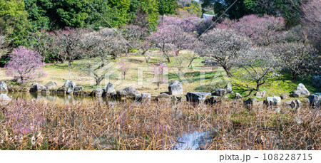 春の兆しに映える梅の木と桜ヶ池女池パノラマ風景［蓮華院誕生寺奥之院］熊本県玉名市 108228715