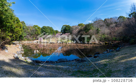 春の兆しに映える梅の木と桜ヶ池女池パノラマ風景［蓮華院誕生寺奥之院］熊本県玉名市 108228716