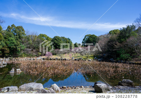 春の兆しに映える梅の木と桜ヶ池女池パノラマ風景［蓮華院誕生寺奥之院］熊本県玉名市 108228778