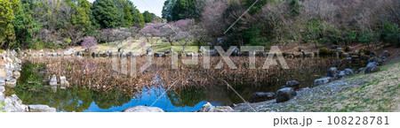 春の兆しに映える梅の木と桜ヶ池女池パノラマ風景［蓮華院誕生寺奥之院］熊本県玉名市 108228781
