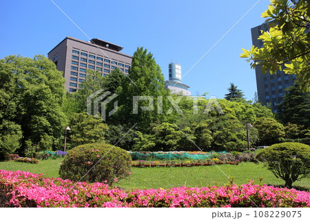 仙台市青葉区　勾当台公園　宮城県庁周辺 108229075
