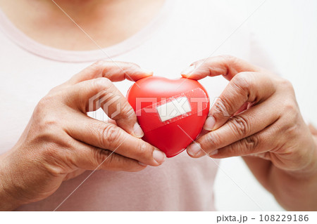 Asian woman holding human internal organ model, donation charity volunteer concept. 108229186