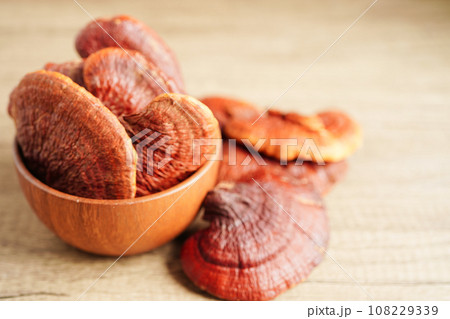 Lingzhi or Reishi mushroom with capsules, organic natural healthy food. Lingzhi or Reishi mushroom with capsules, organic natural healthy food. 108229339