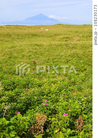 日本最大の高層湿原、北海道の利尻礼文サロベツ国立公園、サロベツの原野で洋上の利尻島を眺める、その夕日 108230173