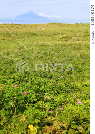 日本最大の高層湿原、北海道の利尻礼文サロベツ国立公園、サロベツの原野で洋上の利尻島を眺める、その夕日 日本最大の高層湿原、北海道の利尻礼文サロベツ国立公園、サロベツの原野で洋上の利尻島を眺める、その夕日 108230174