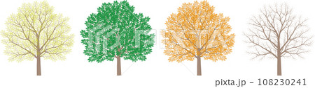 樹木の春夏秋冬四季の変化のイラスト 108230241