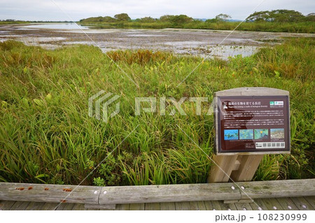 日本最大の高層湿原、北海道の利尻礼文サロベツ国立公園、サロベツの原野で洋上の利尻島を眺める、その夕日 108230999
