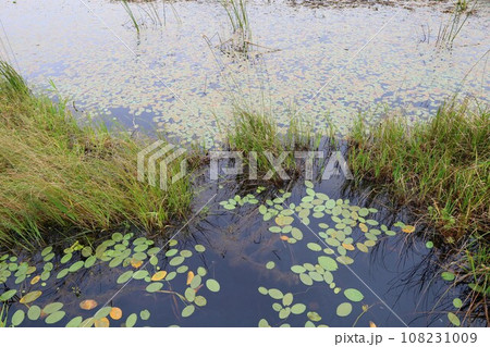 日本最大の高層湿原、北海道の利尻礼文サロベツ国立公園、サロベツの原野で洋上の利尻島を眺める、その夕日 108231009