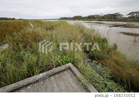 日本最大の高層湿原、北海道の利尻礼文サロベツ国立公園、サロベツの原野で洋上の利尻島を眺める、その夕日 日本最大の高層湿原、北海道の利尻礼文サロベツ国立公園、サロベツの原野で洋上の利尻島を眺める、その夕日 108231012