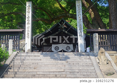 尾道艮神社拝殿前の大楠と参道石段 108231276