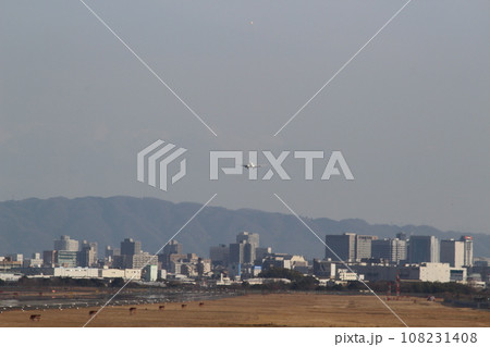 着陸する飛行機 伊丹空港 大阪国際空港 着陸する飛行機 伊丹空港 大阪国際空港 108231408