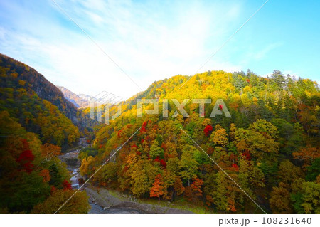 燃える秋、錦秋の北海道、十月、層雲峡の紅葉、黒岳ロープウェイ、ロープウェーで登る黒岳、赤黄色の紅葉 108231640