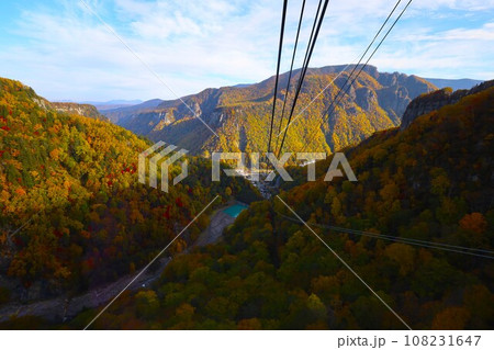 燃える秋、錦秋の北海道、十月、層雲峡の紅葉、黒岳ロープウェイ、ロープウェーで登る黒岳、赤黄色の紅葉 108231647