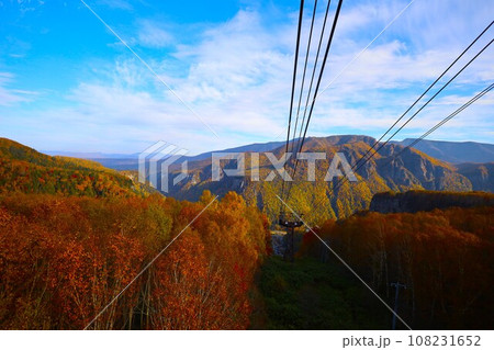 燃える秋、錦秋の北海道、十月、層雲峡の紅葉、黒岳ロープウェイ、ロープウェーで登る黒岳、赤黄色の紅葉 燃える秋、錦秋の北海道、十月、層雲峡の紅葉、黒岳ロープウェイ、ロープウェーで登る黒岳、赤黄色の紅葉 108231652