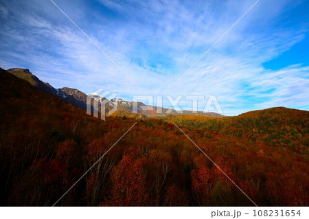 燃える秋、錦秋の北海道、十月、層雲峡の紅葉、黒岳ロープウェイ、ロープウェーで登る黒岳、赤黄色の紅葉 燃える秋、錦秋の北海道、十月、層雲峡の紅葉、黒岳ロープウェイ、ロープウェーで登る黒岳、赤黄色の紅葉 108231654