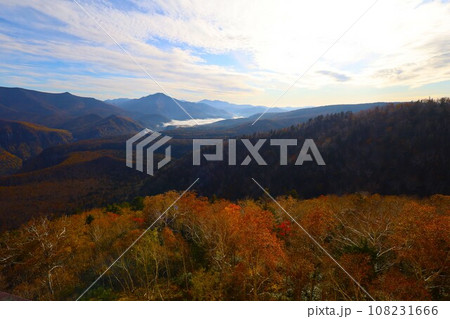 燃える秋、錦秋の北海道、十月、層雲峡の紅葉、黒岳ロープウェイ、ロープウェーで登る黒岳、赤黄色の紅葉 燃える秋、錦秋の北海道、十月、層雲峡の紅葉、黒岳ロープウェイ、ロープウェーで登る黒岳、赤黄色の紅葉 108231666