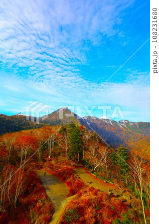 燃える秋、錦秋の北海道、十月、層雲峡の紅葉、黒岳ロープウェイ、ロープウェーで登る黒岳、赤黄色の紅葉 燃える秋、錦秋の北海道、十月、層雲峡の紅葉、黒岳ロープウェイ、ロープウェーで登る黒岳、赤黄色の紅葉 108231680