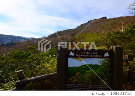 燃える秋、錦秋の北海道、十月、層雲峡の紅葉、黒岳ロープウェイ、ロープウェーで登る黒岳、赤黄色の紅葉 108231710