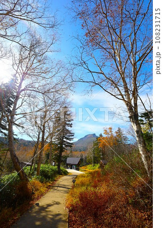 燃える秋、錦秋の北海道、十月、層雲峡の紅葉、黒岳ロープウェイ、ロープウェーで登る黒岳、赤黄色の紅葉 燃える秋、錦秋の北海道、十月、層雲峡の紅葉、黒岳ロープウェイ、ロープウェーで登る黒岳、赤黄色の紅葉 108231715