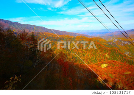 燃える秋、錦秋の北海道、十月、層雲峡の紅葉、黒岳ロープウェイ、ロープウェーで登る黒岳、赤黄色の紅葉 108231717