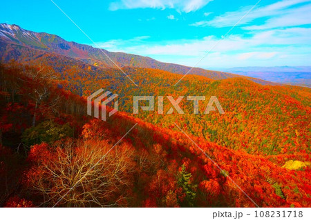 燃える秋、錦秋の北海道、十月、層雲峡の紅葉、黒岳ロープウェイ、ロープウェーで登る黒岳、赤黄色の紅葉 燃える秋、錦秋の北海道、十月、層雲峡の紅葉、黒岳ロープウェイ、ロープウェーで登る黒岳、赤黄色の紅葉 108231718