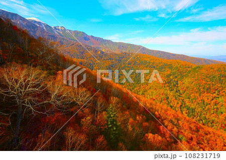 燃える秋、錦秋の北海道、十月、層雲峡の紅葉、黒岳ロープウェイ、ロープウェーで登る黒岳、赤黄色の紅葉 燃える秋、錦秋の北海道、十月、層雲峡の紅葉、黒岳ロープウェイ、ロープウェーで登る黒岳、赤黄色の紅葉 108231719