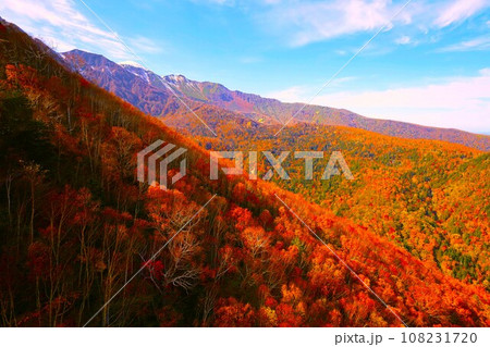 燃える秋、錦秋の北海道、十月、層雲峡の紅葉、黒岳ロープウェイ、ロープウェーで登る黒岳、赤黄色の紅葉 108231720