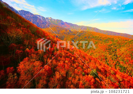 燃える秋、錦秋の北海道、十月、層雲峡の紅葉、黒岳ロープウェイ、ロープウェーで登る黒岳、赤黄色の紅葉 108231721