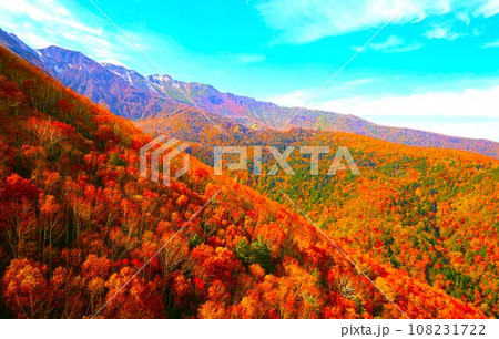 燃える秋、錦秋の北海道、十月、層雲峡の紅葉、黒岳ロープウェイ、ロープウェーで登る黒岳、赤黄色の紅葉 燃える秋、錦秋の北海道、十月、層雲峡の紅葉、黒岳ロープウェイ、ロープウェーで登る黒岳、赤黄色の紅葉 108231722