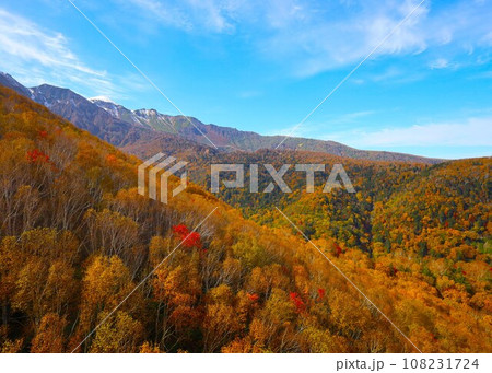 燃える秋、錦秋の北海道、十月、層雲峡の紅葉、黒岳ロープウェイ、ロープウェーで登る黒岳、赤黄色の紅葉 燃える秋、錦秋の北海道、十月、層雲峡の紅葉、黒岳ロープウェイ、ロープウェーで登る黒岳、赤黄色の紅葉 108231724