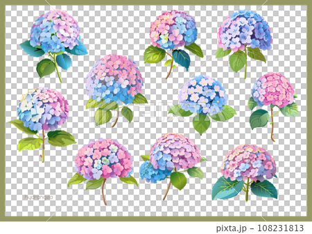 Hydrangea material set 108231813