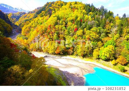 燃える秋、錦秋の北海道、十月、層雲峡の紅葉、黒岳ロープウェイ、ロープウェーで登る黒岳、赤黄色の紅葉 108231852