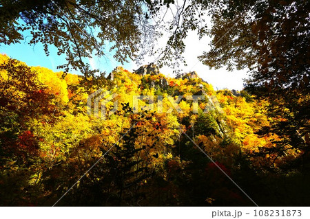 燃える秋、錦秋の北海道、十月、層雲峡の紅葉、黒岳ロープウェイ、ロープウェーで登る黒岳、赤黄色の紅葉 108231873