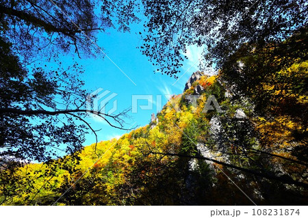 燃える秋、錦秋の北海道、十月、層雲峡の紅葉、黒岳ロープウェイ、ロープウェーで登る黒岳、赤黄色の紅葉 108231874